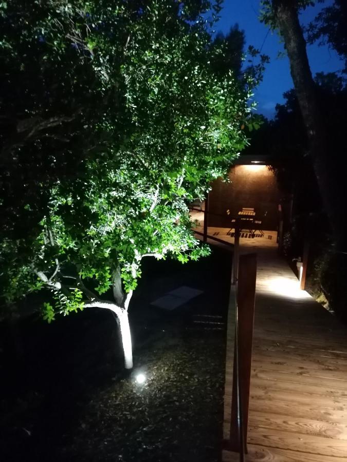 Hotel Quinta Mata da Sé Miranda do Corvo Esterno foto