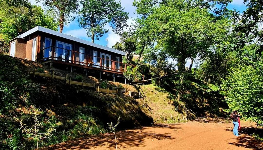 Hotel Quinta Mata da Sé Miranda do Corvo Esterno foto